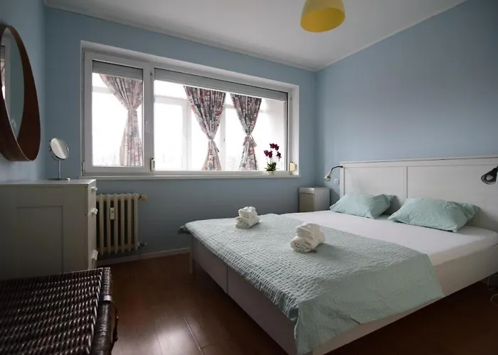 Resedinta Lui Calin - Choice Bucureşti